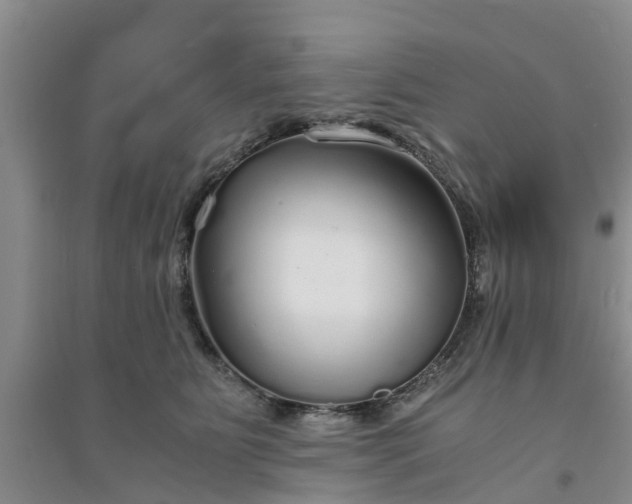 X0000094320515200711091344