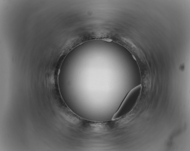 X0000094320516200711091344
