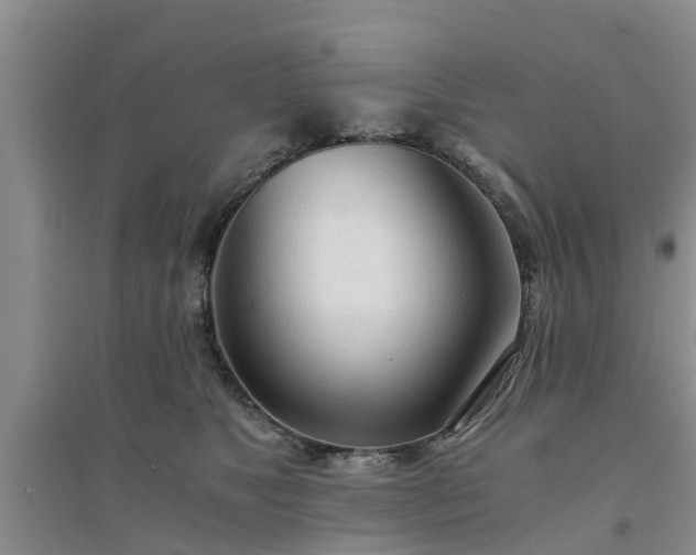 X0000094320517200711091344