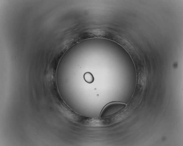X0000094320518200711091344