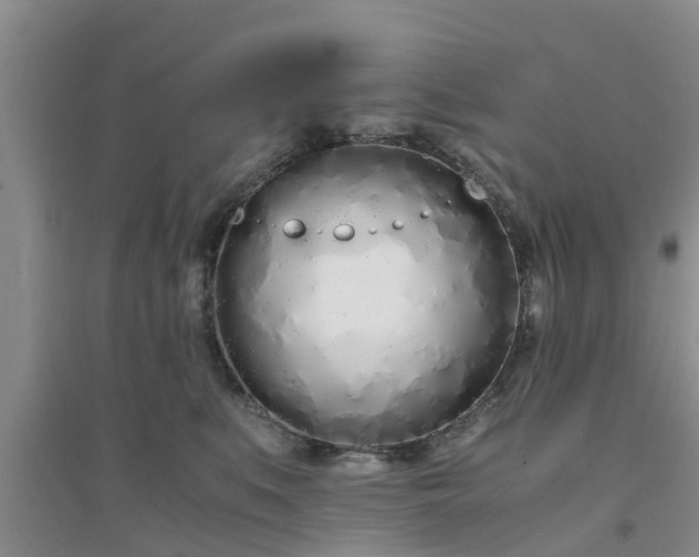 X0000094320519200711091344