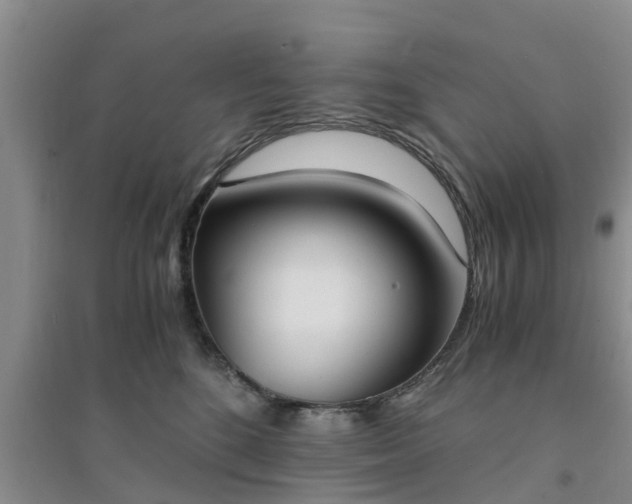X0000094320520200711091344