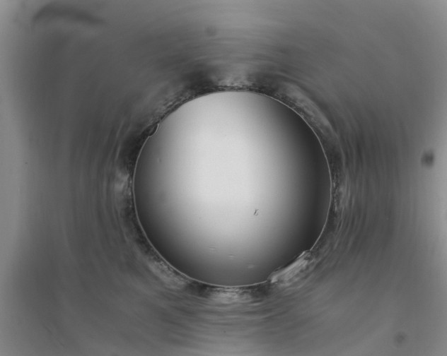 X0000094320521200711091344
