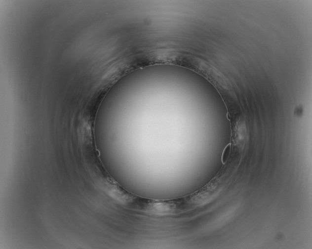 X0000094320522200711091344