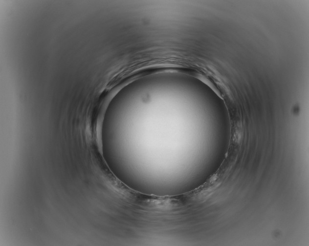 X0000094320524200711091344