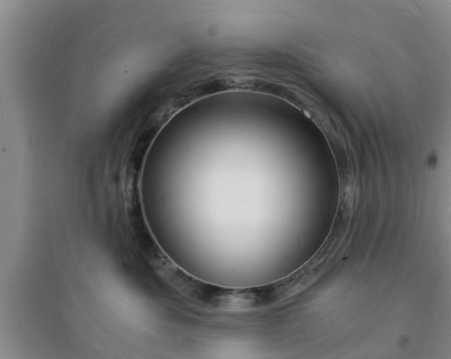X0000094320525200711091344