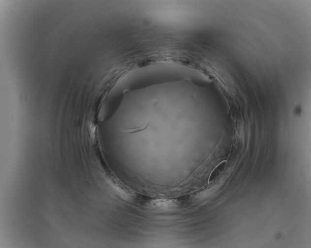 X0000094320526200711091344