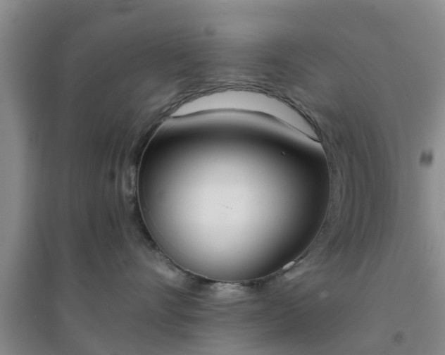 X0000094320528200711091344