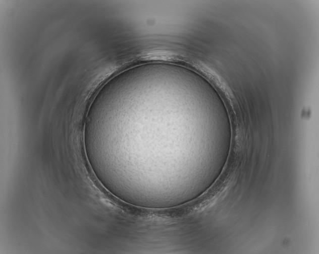 X0000094320529200711091343