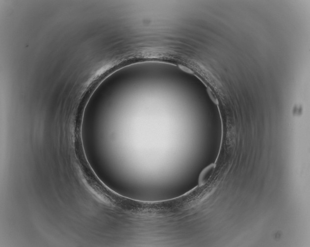 X0000094320530200711091343