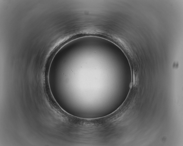 X0000094320531200711091343