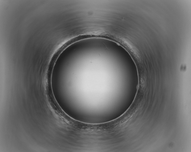X0000094320532200711091343