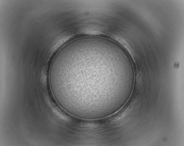 X0000094320533200711091343
