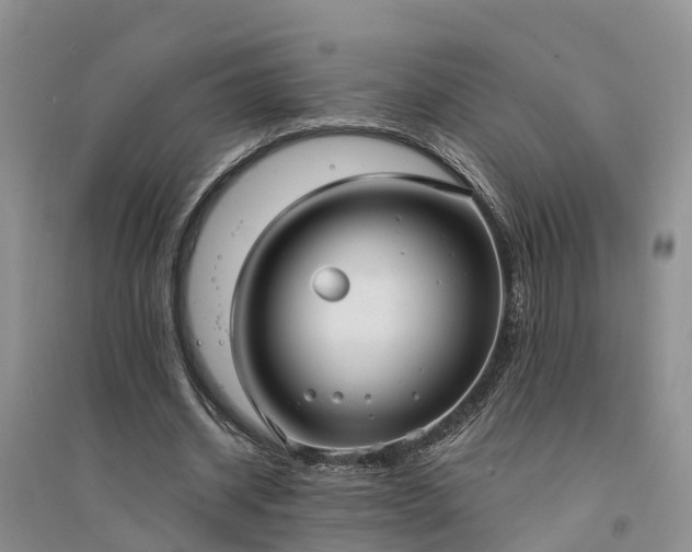 X0000094320534200711091343