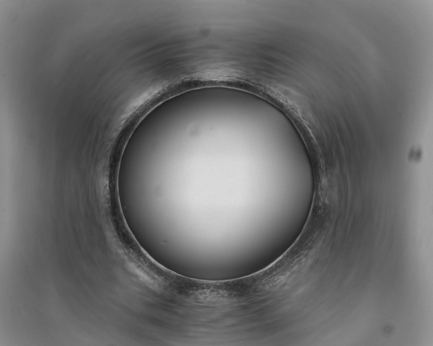 X0000094320535200711091343