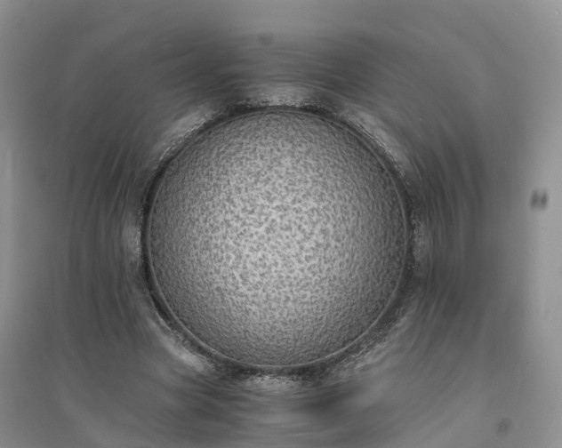 X0000094320537200711091343