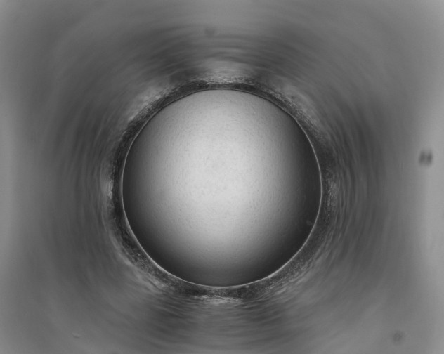 X0000094320539200711091344