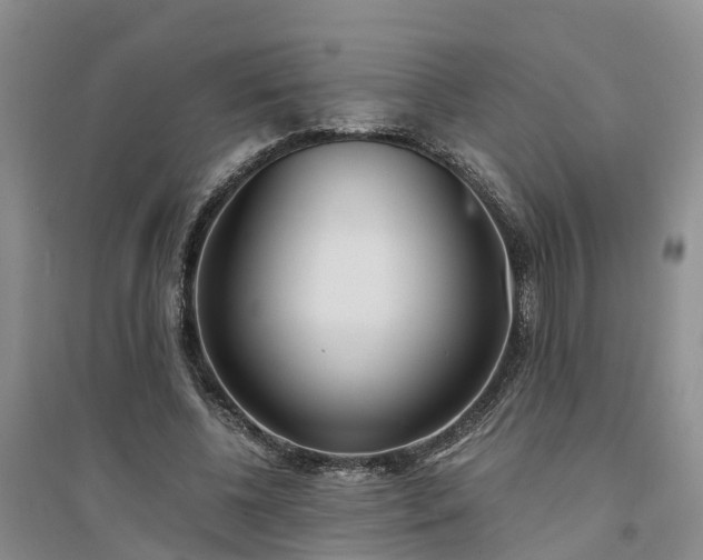 X0000094320540200711091344