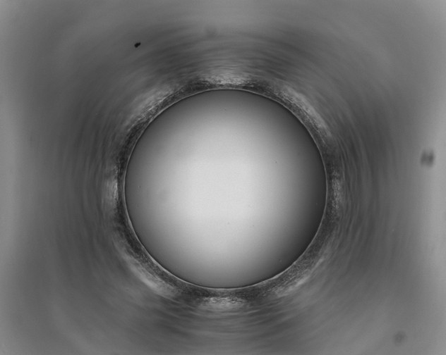 X0000094320541200711091344