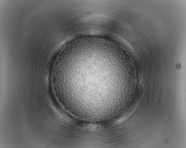 X0000094320542200711091344