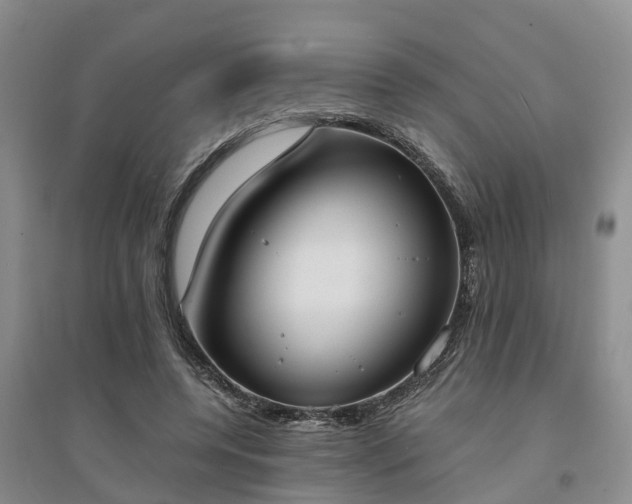 X0000094320544200711091344
