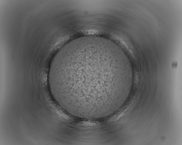 X0000094320545200711091344