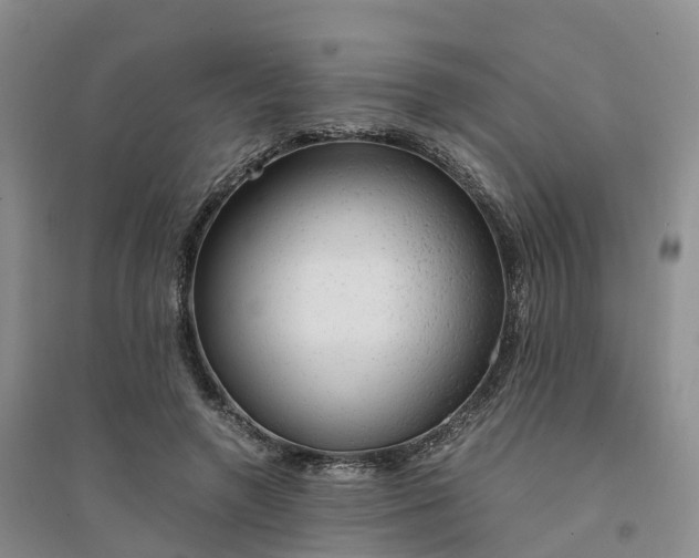 X0000094320546200711091344