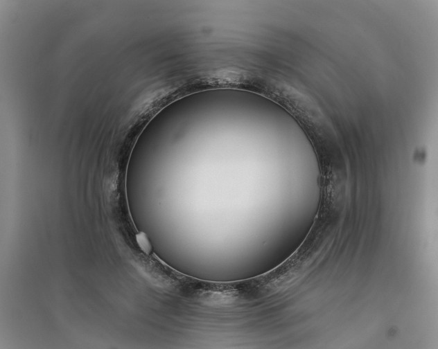 X0000094320548200711091344