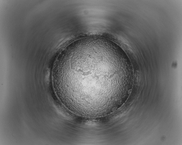 X0000094320550200711091344
