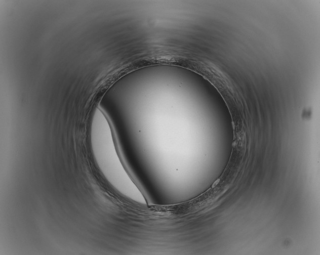 X0000094320552200711091344