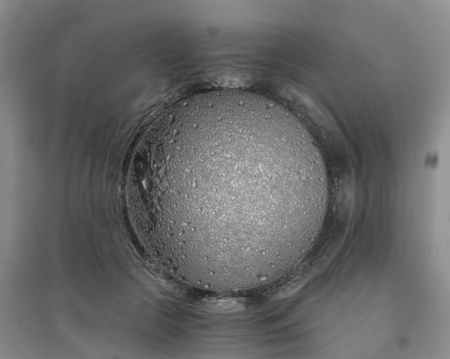 X0000094320553200711091344