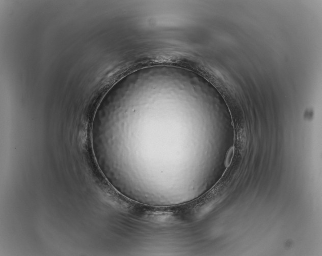 X0000094320554200711091344