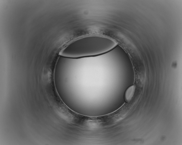 X0000094320556200711091344