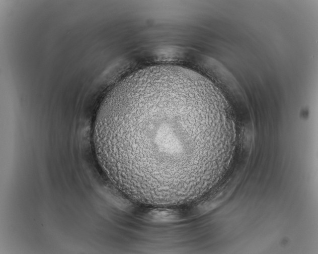 X0000094320557200711091344