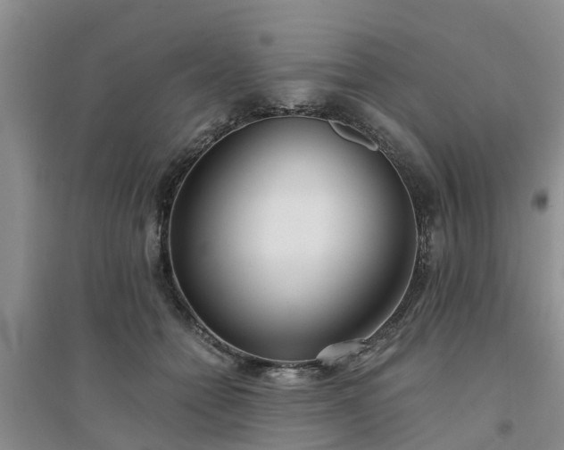 X0000094320558200711091344