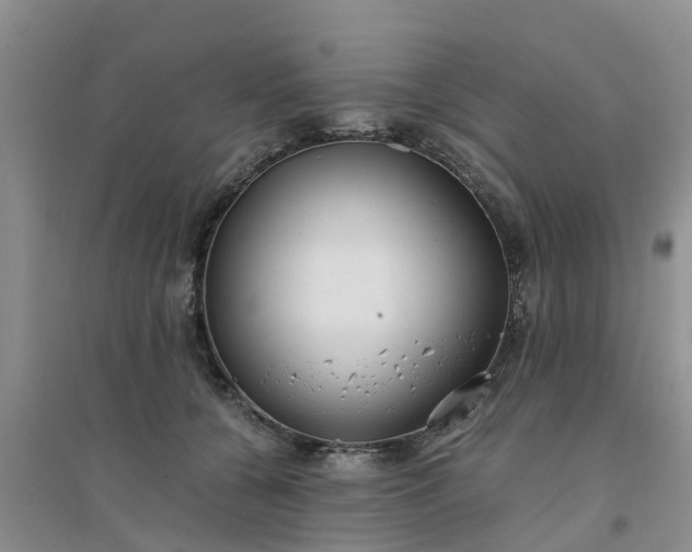 X0000094320560200711091344