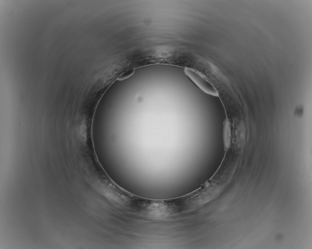 X0000094320562200711091344