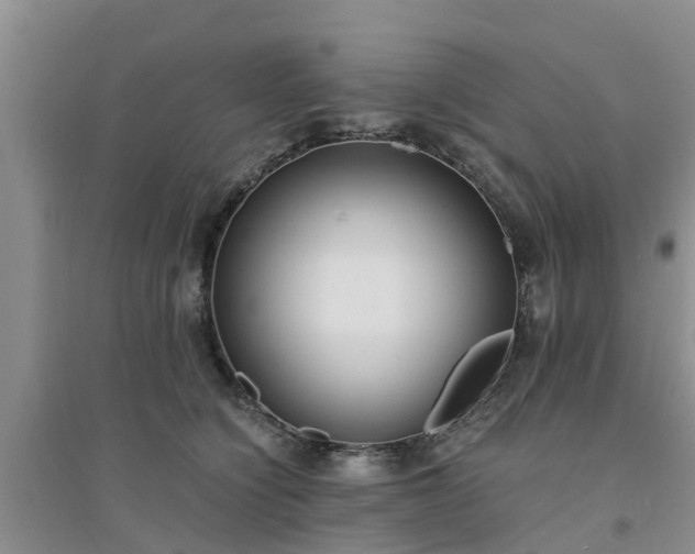 X0000094320564200711091344