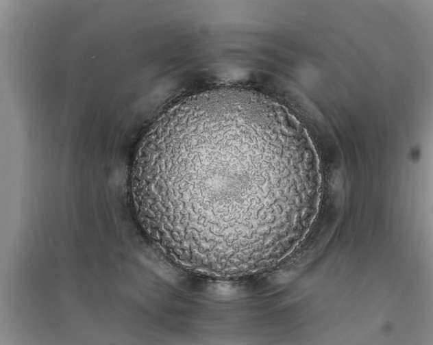 X0000094320565200711091344