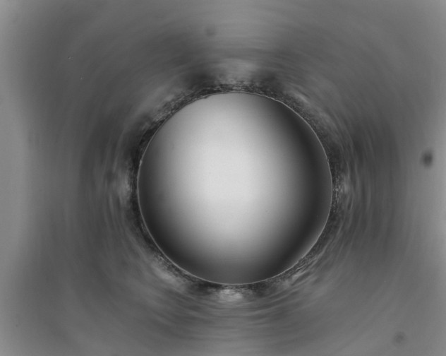 X0000094320566200711091344