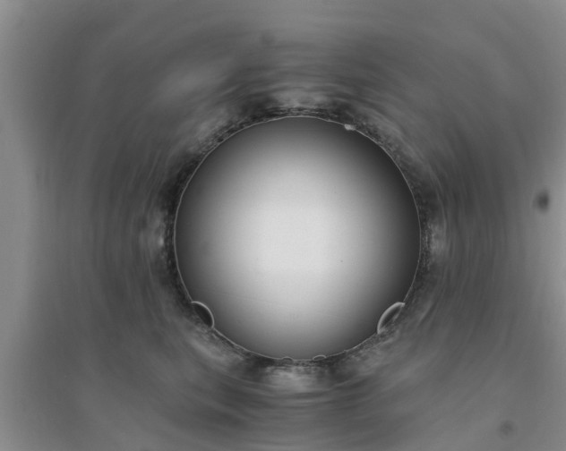 X0000094320567200711091344