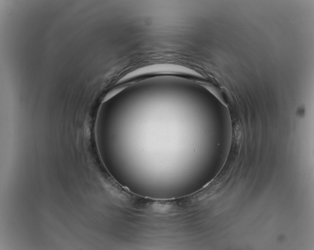 X0000094320570200711091344