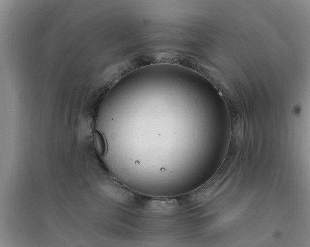 X0000094320571200711091344