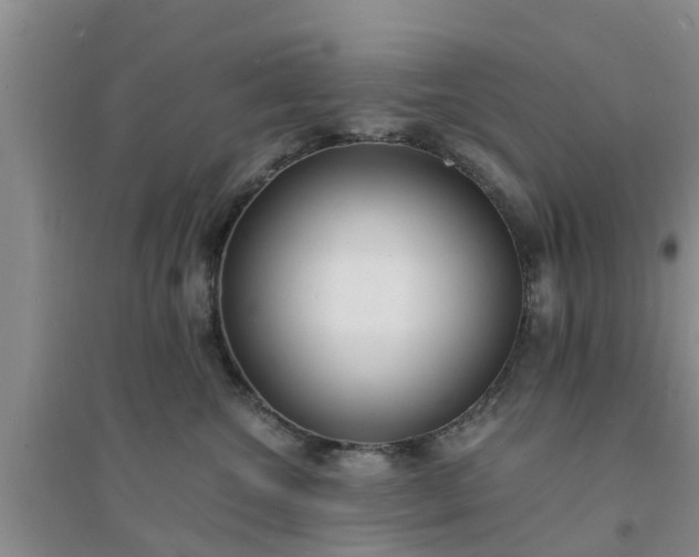 X0000094320572200711091344