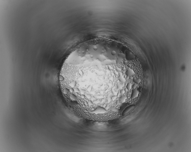 X0000094320573200711091344