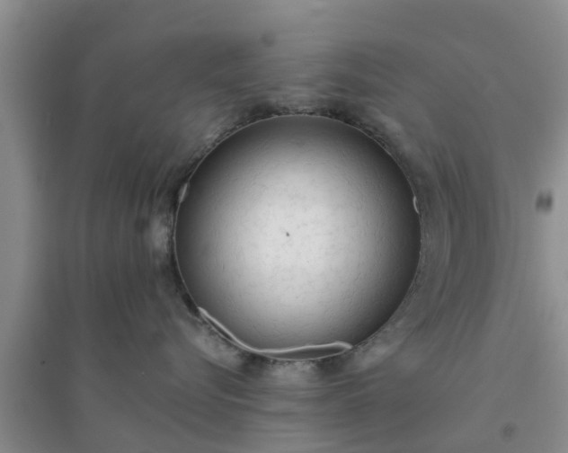 X0000094320576200711091344