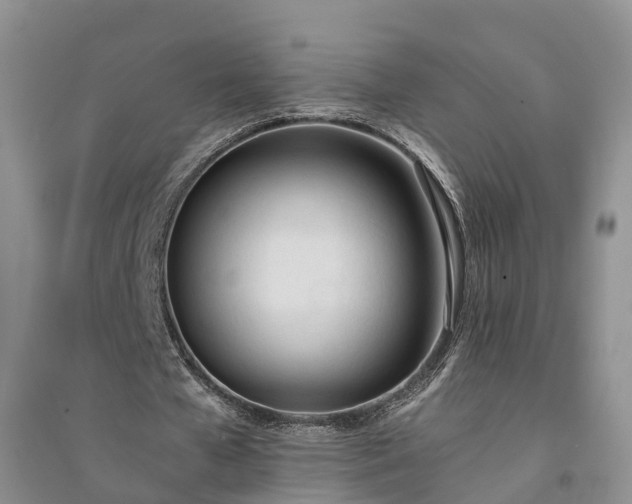 X0000094320577200711091343