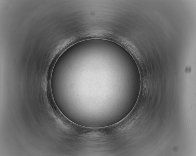 X0000094320578200711091343
