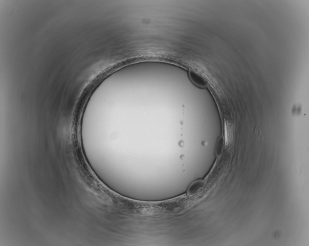 X0000094320579200711091343