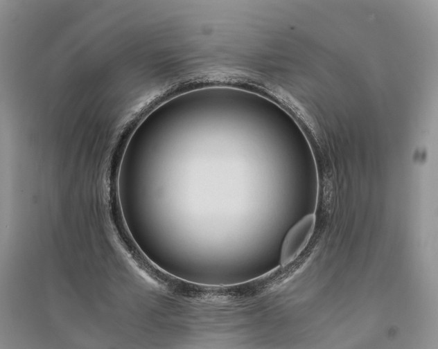 X0000094320581200711091343